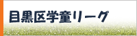 �ڍ����[�O��